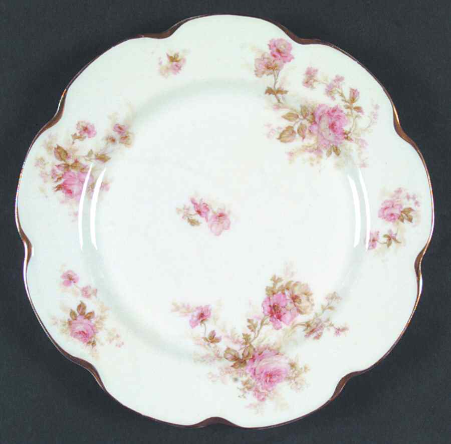 H1354 Dinner Plate by Haviland-1