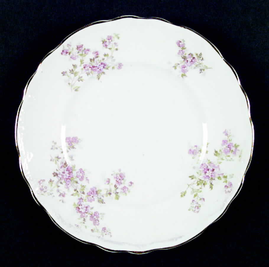 W30 Dinner Plate by Homer Laughlin -1