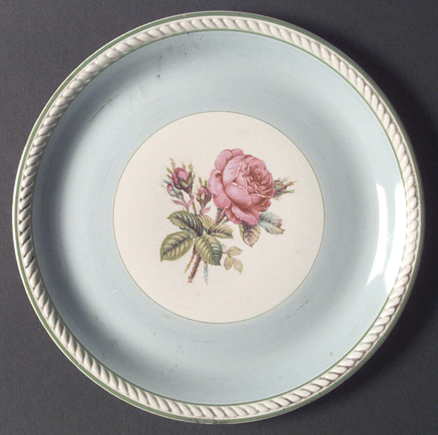 HLC1823 Dinner Plate by Homer Laughlin -1
