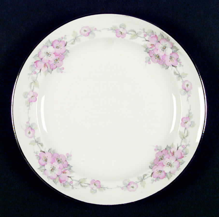 W102 Dinner Plate by Homer Laughlin -1