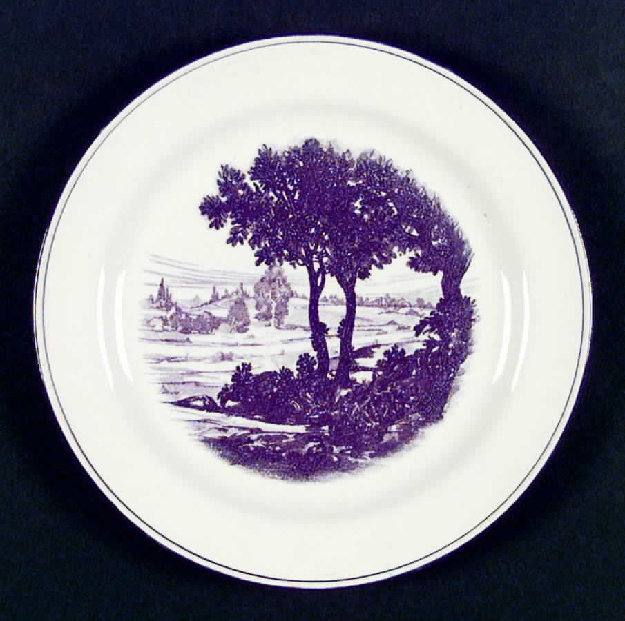 HLC1269 Dinner Plate by Homer Laughlin -1