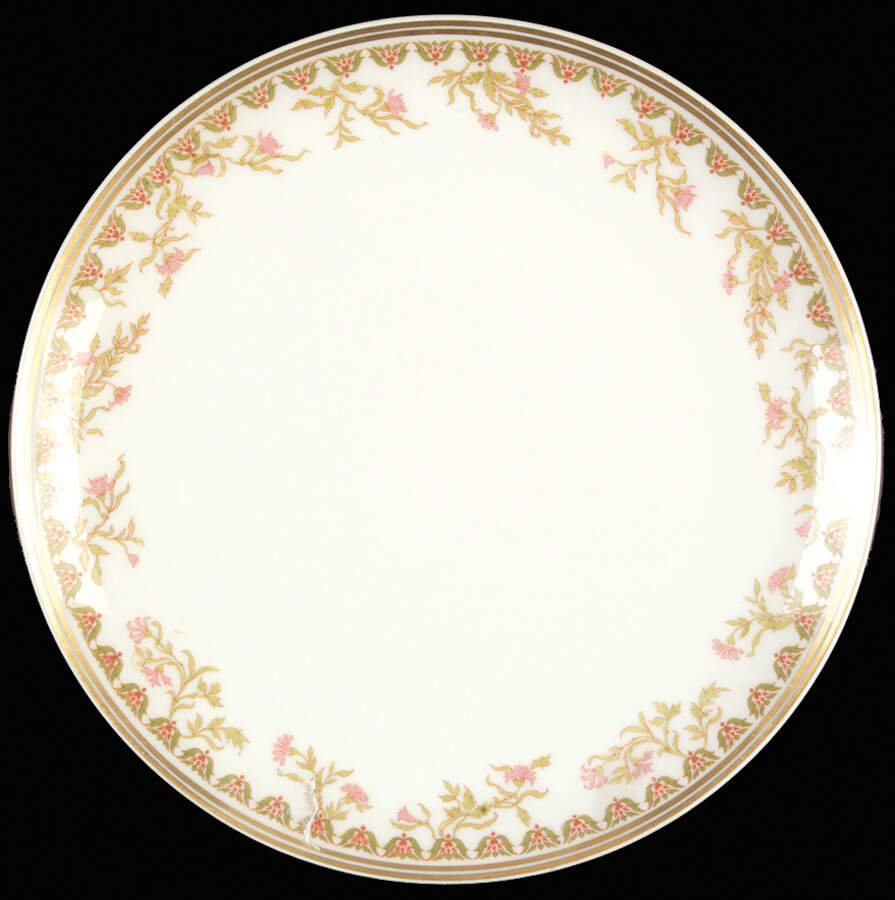 Schleiger 969 Coupe Salad Plate by Haviland-1