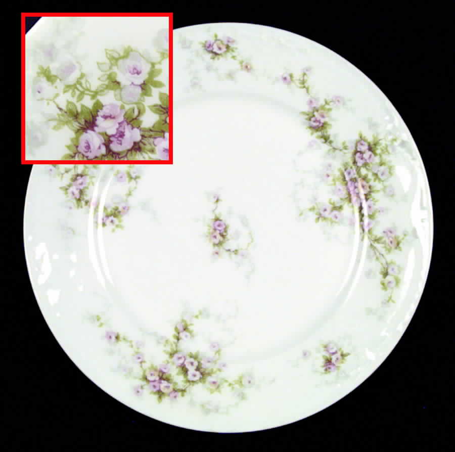 Schleiger 149m Dinner Plate by Haviland-1