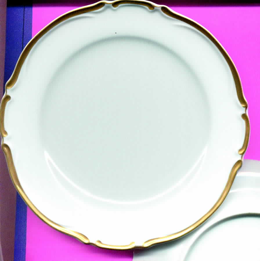 Castlemore Dinner Plate by Harmony House China-1