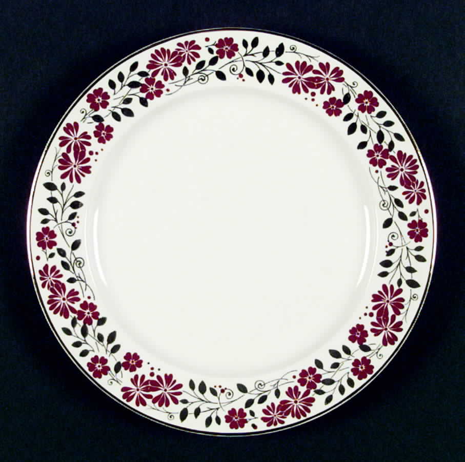 HLC1753 Dinner Plate by Homer Laughlin -1