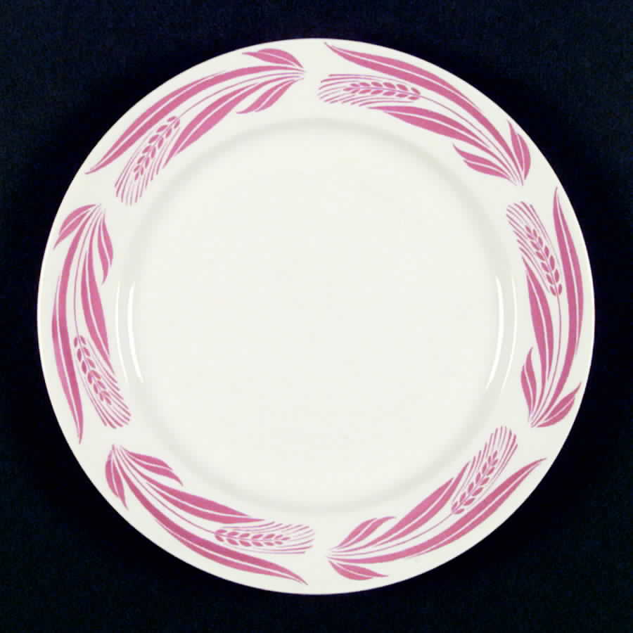 HLC1758 Dinner Plate by Homer Laughlin -1