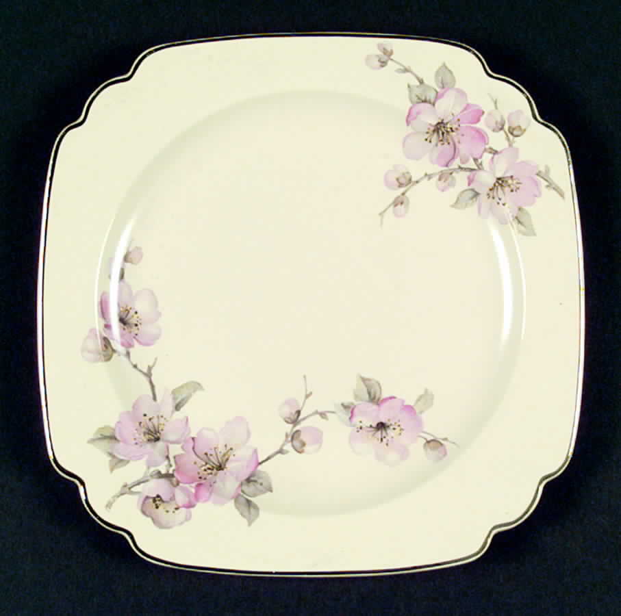 C84 Dinner Plate by Homer Laughlin -1