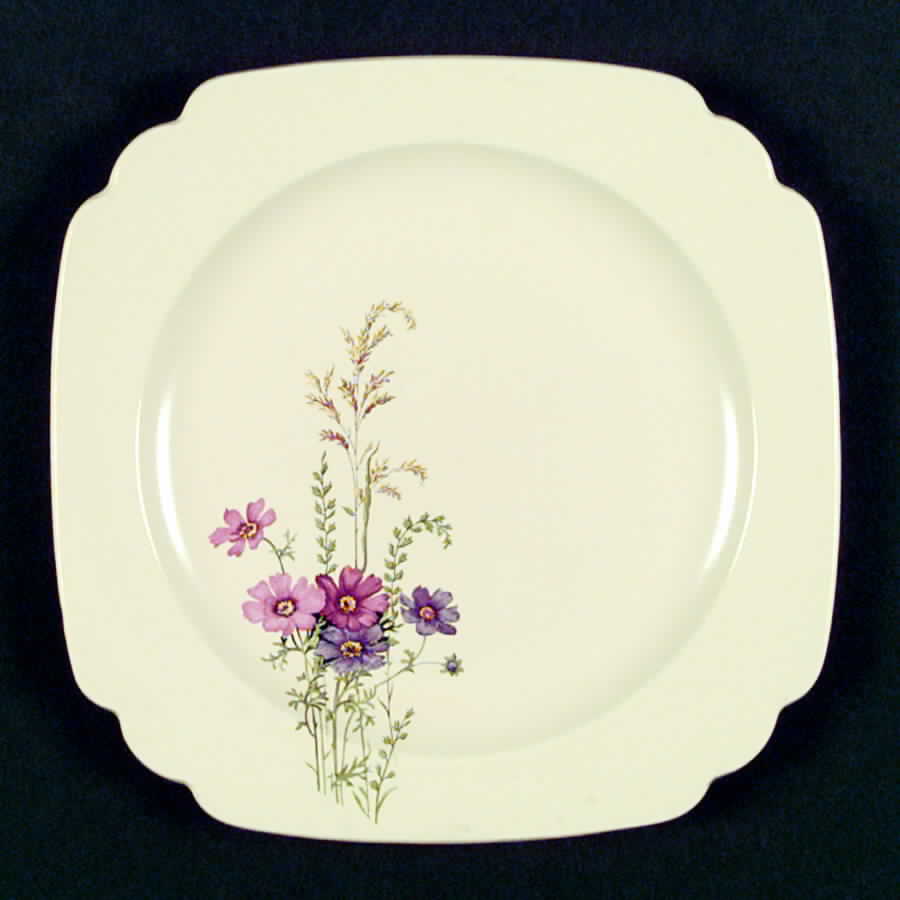 C87 Dinner Plate by Homer Laughlin -1