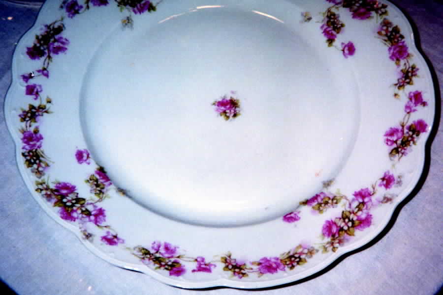 HAB46 Dinner Plate by Habsburg-1