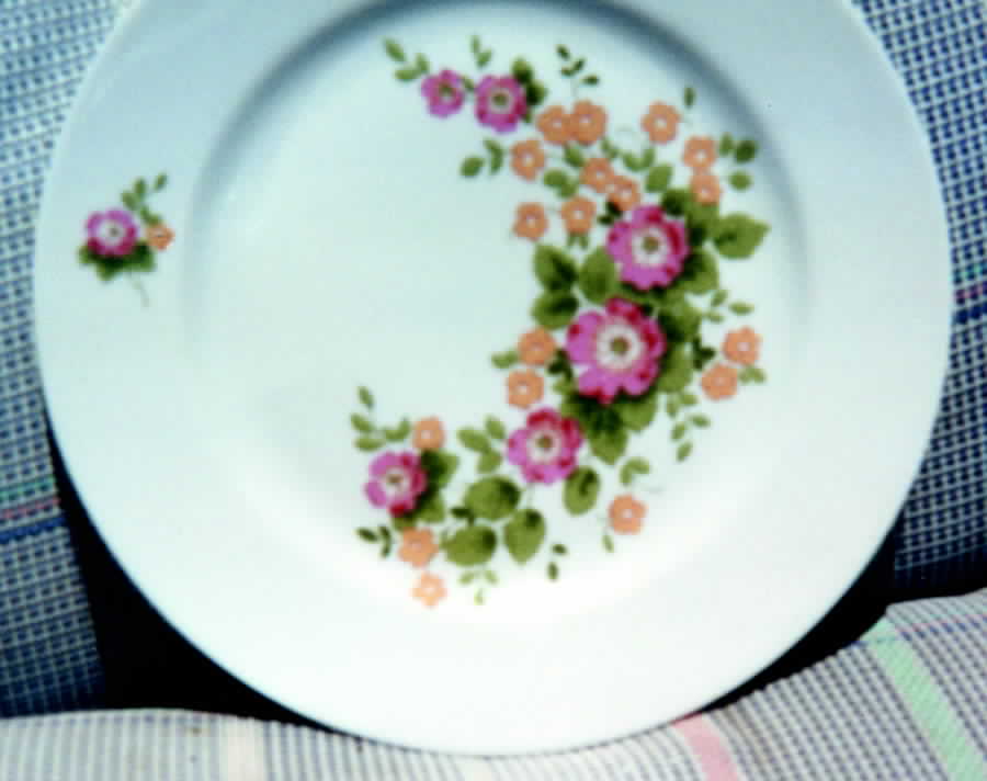 HEP24 Dinner Plate by Graf Von Henneberg-1