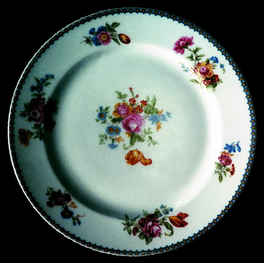 HRO15 Dinner Plate by Robert Haviland-1