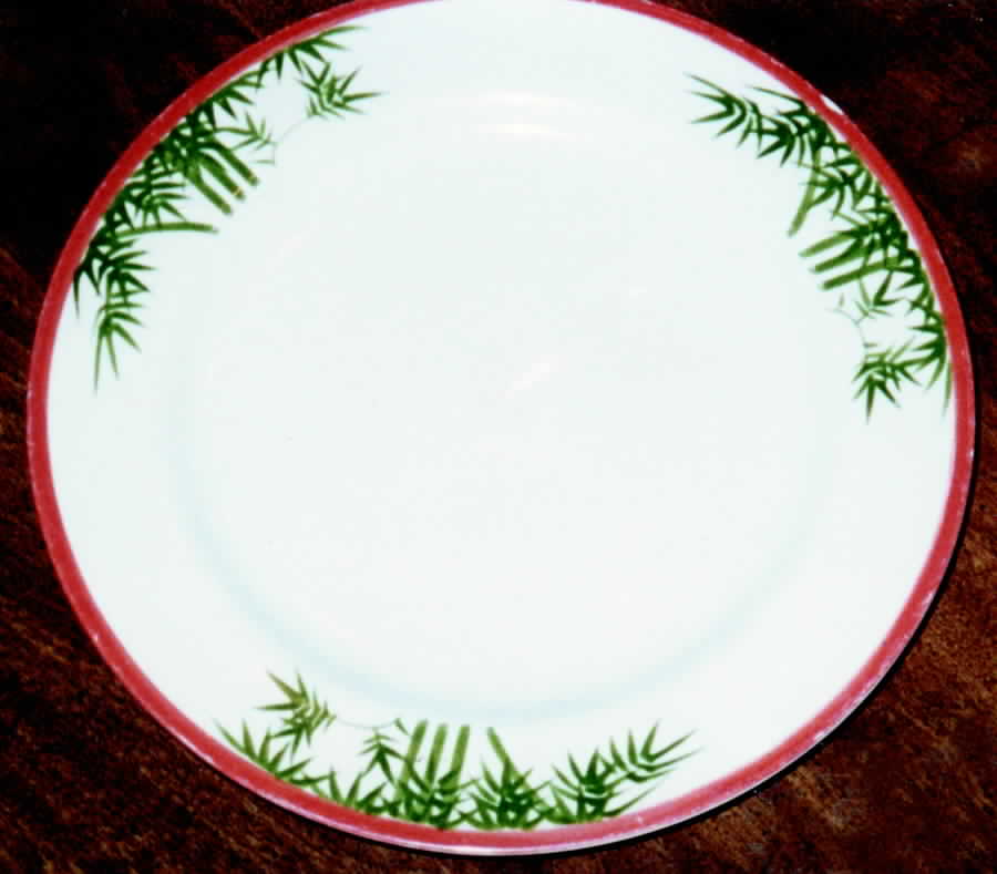 HKN5 Dinner Plate by Hakusan-1