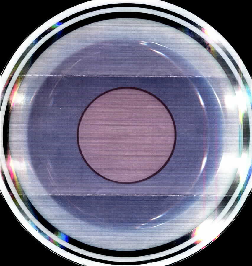 HGH6 Luncheon Plate by E Hughes-1