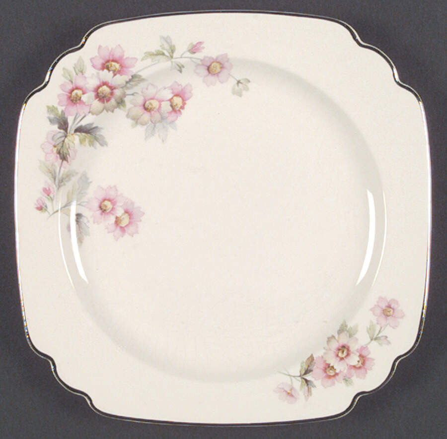 C205 Dinner Plate by Homer Laughlin -1