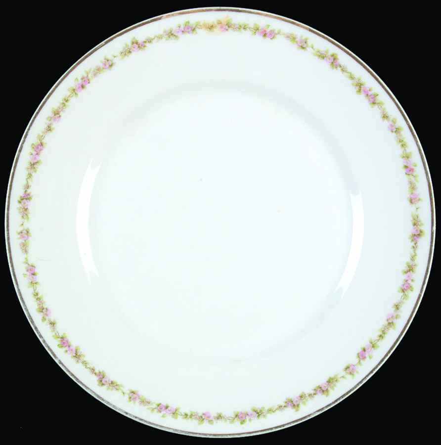Schleiger 865c Dinner Plate by Haviland-1