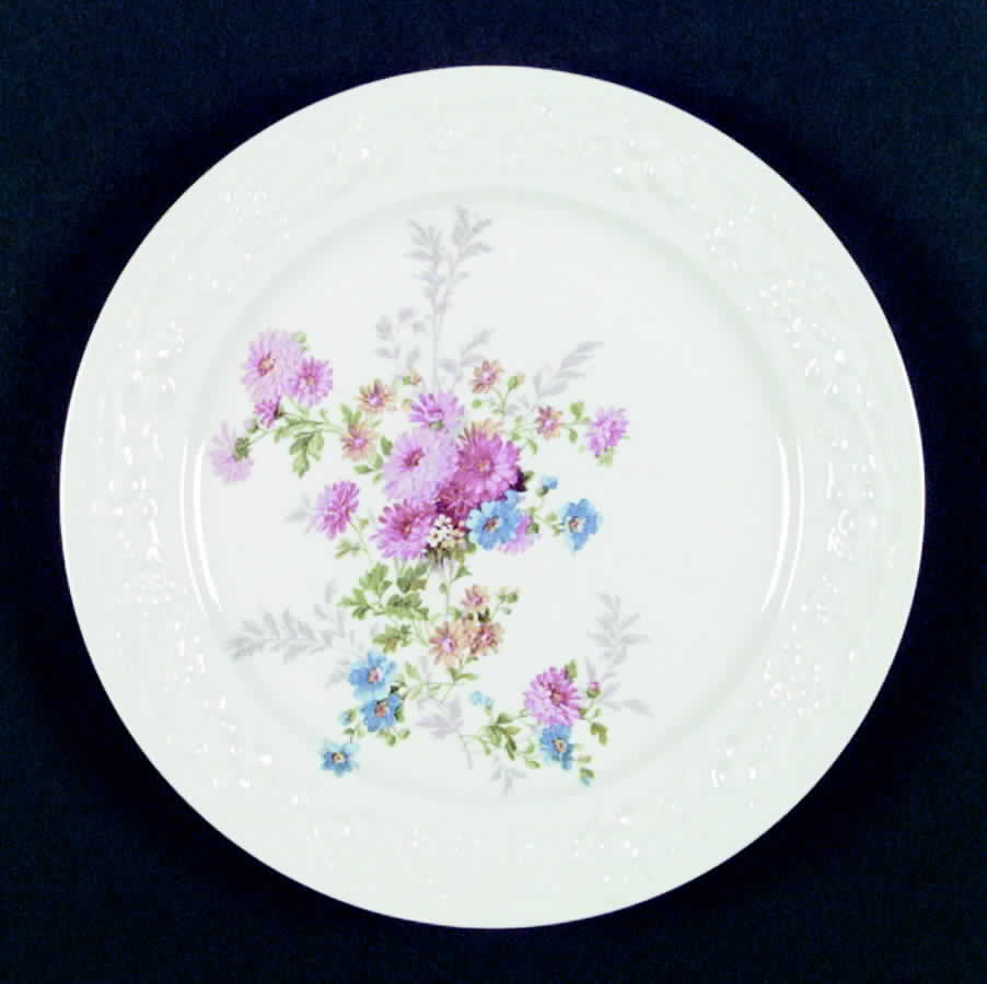 TH24 Dinner Plate by Homer Laughlin -1
