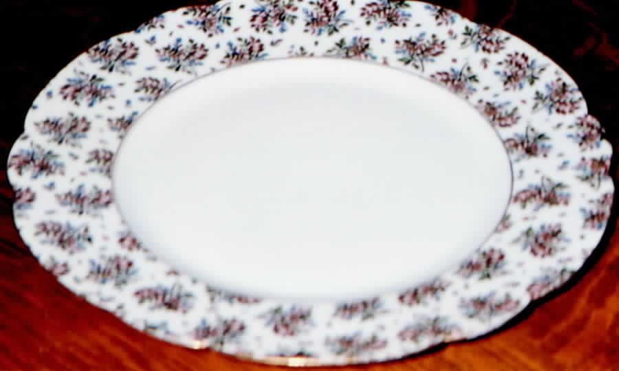 H1367 Dinner Plate by Haviland-1