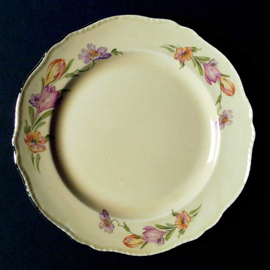 N7028 Dinner Plate by Homer Laughlin -1