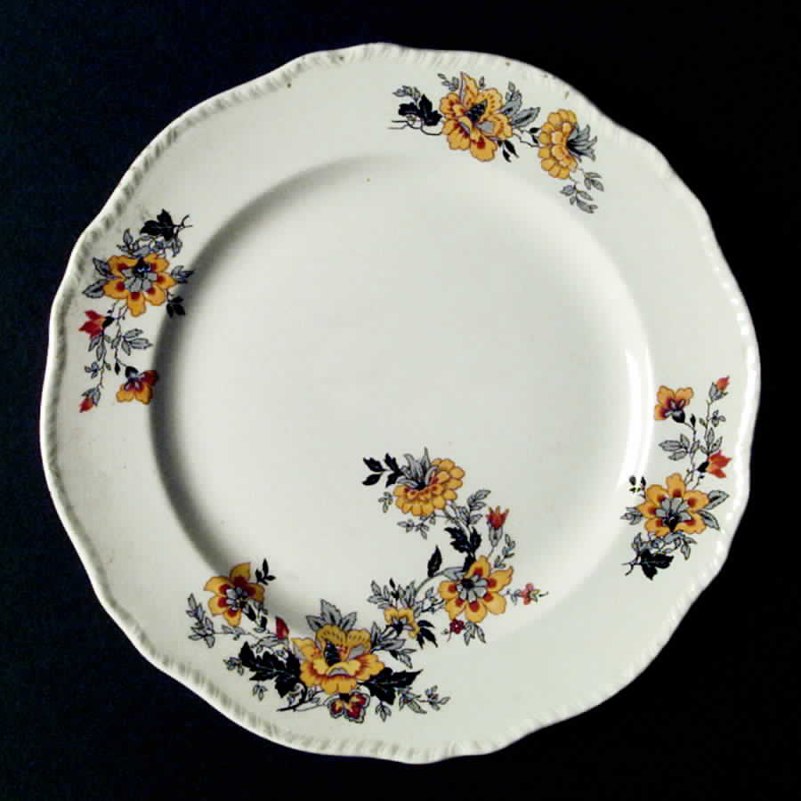 N80 Dinner Plate by Homer Laughlin -1
