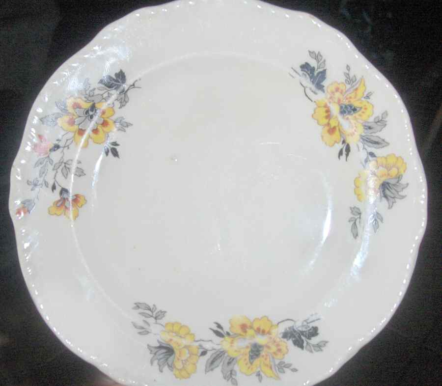 N80 Bread & Butter Plate by Homer Laughlin -1