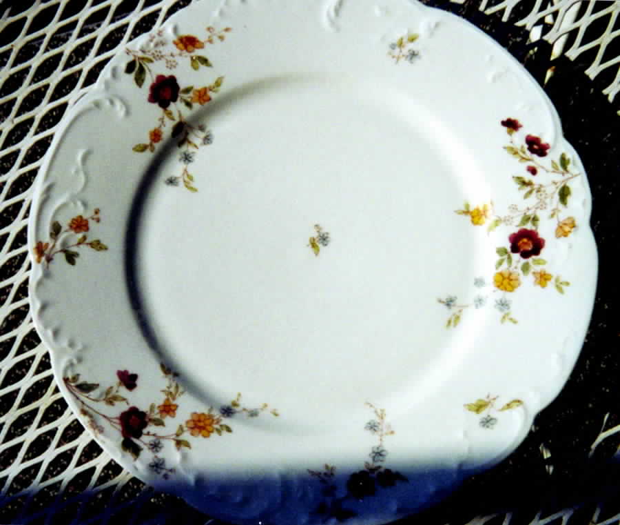 Schleiger 1156d Dinner Plate by Haviland-1