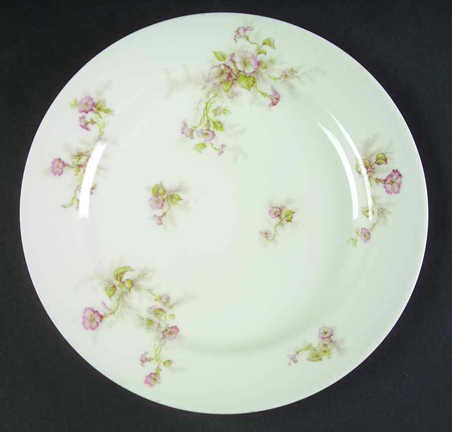 Schleiger 1160a Salad Plate by Haviland-1