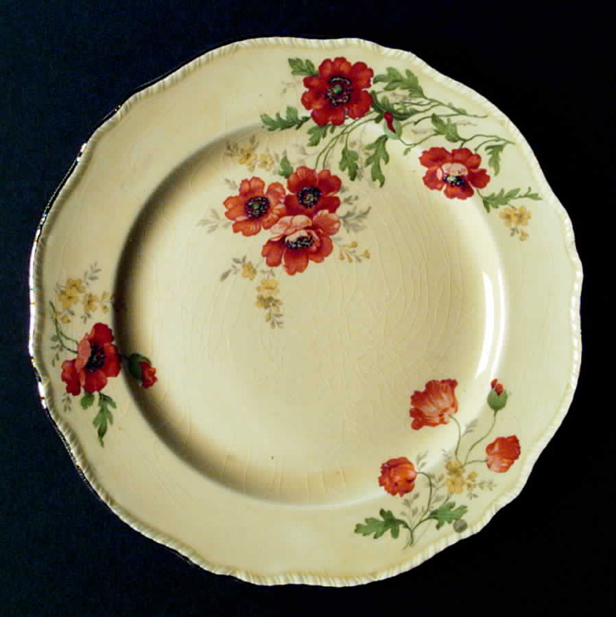 N8228 Dinner Plate by Homer Laughlin -1