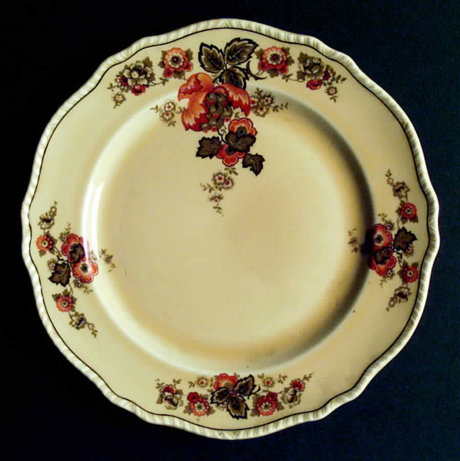 N2228 Dinner Plate by Homer Laughlin -1