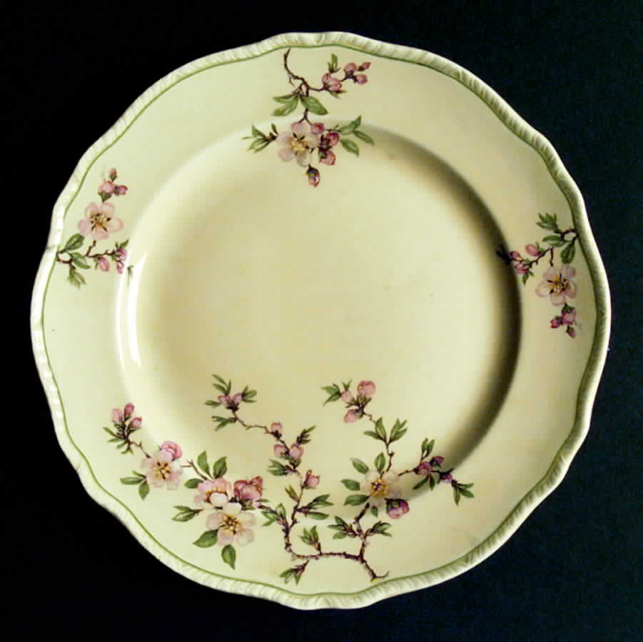 N5728 Dinner Plate by Homer Laughlin -1
