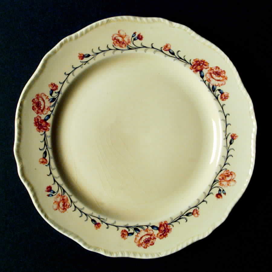 N2628 Dinner Plate by Homer Laughlin -1