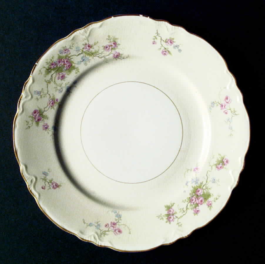 R3381a Dinner Plate by Homer Laughlin -1