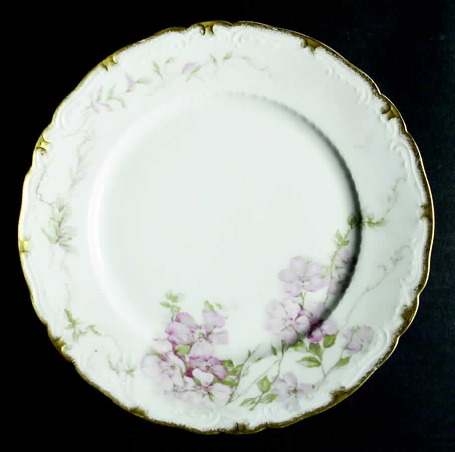Schleiger 1174A Dinner Plate by Haviland-1