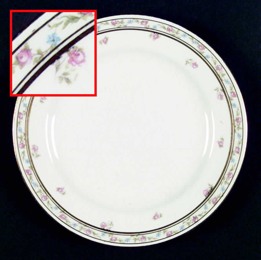 G1106 Dinner Plate by Homer Laughlin -1
