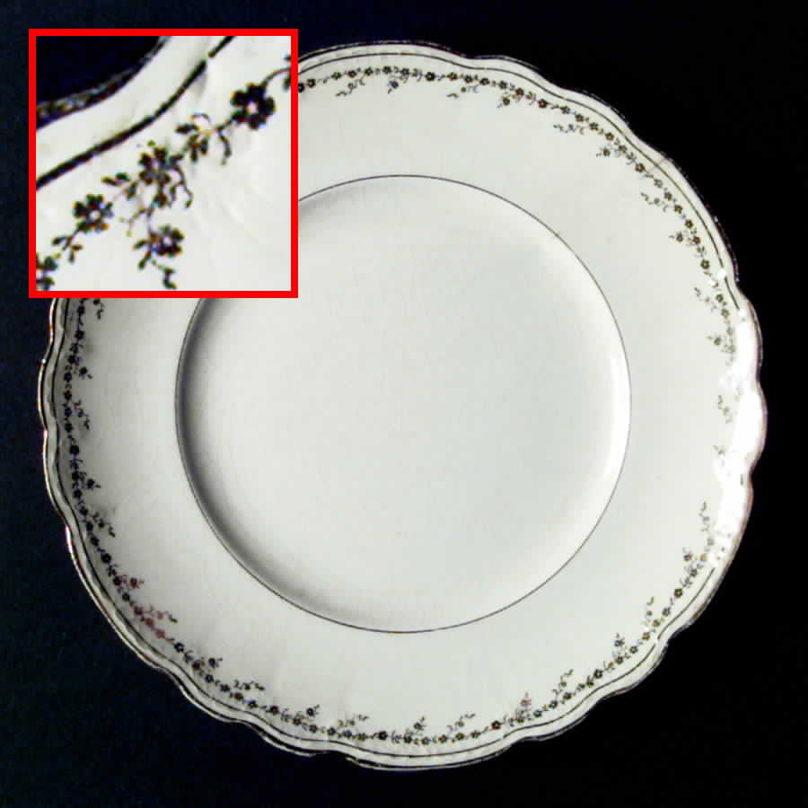 H110 Dinner Plate by Homer Laughlin -1