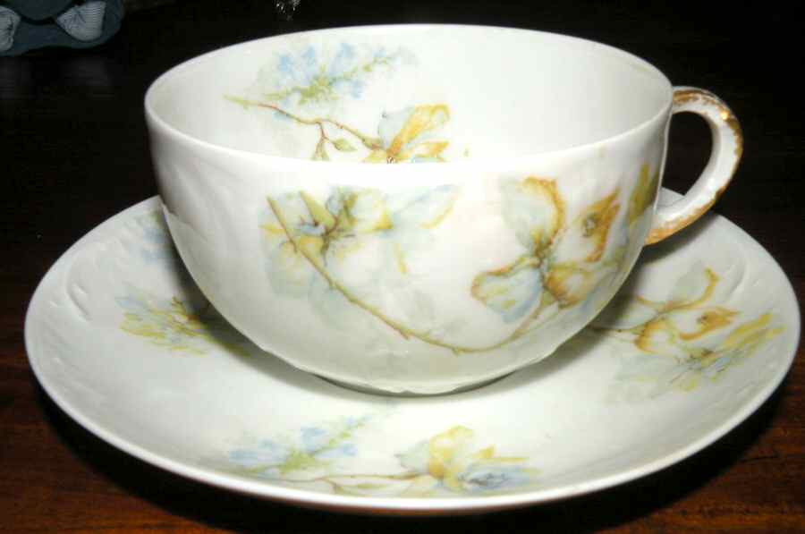 Schleiger 1234a Flat Cup & Saucer Set by Haviland-1