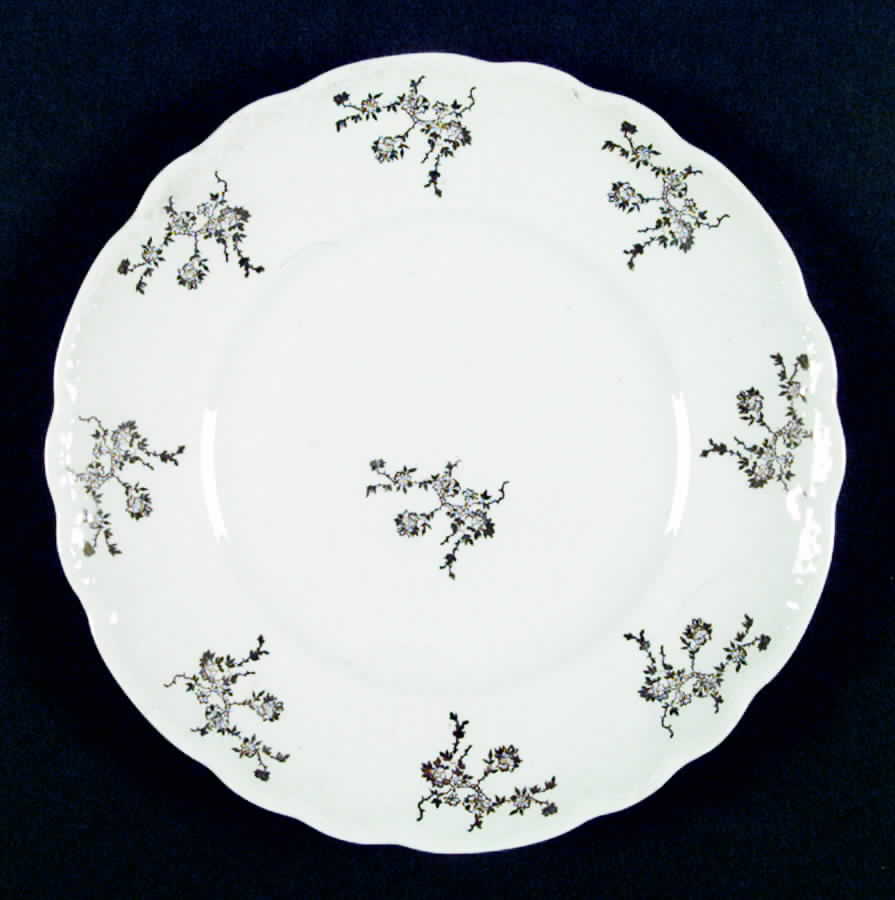 B4S W4S Dinner Plate by Homer Laughlin -1