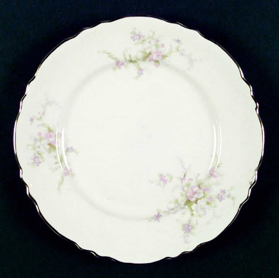R1804 1-2 Dinner Plate by Homer Laughlin -1