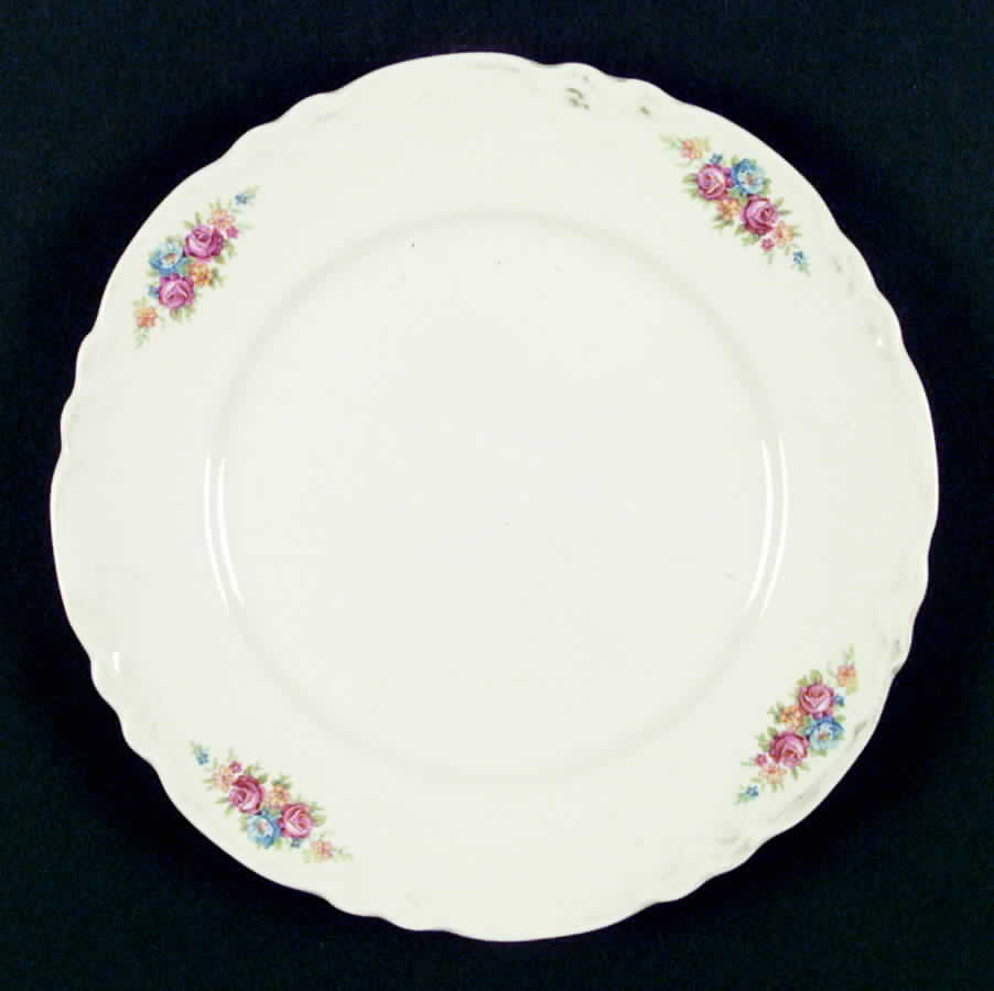 HLS53 Dinner Plate by Homer Laughlin -1