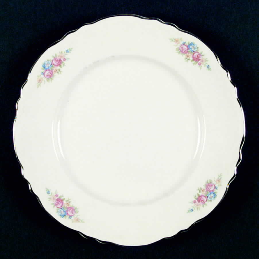 HLS52 Dinner Plate by Homer Laughlin -1