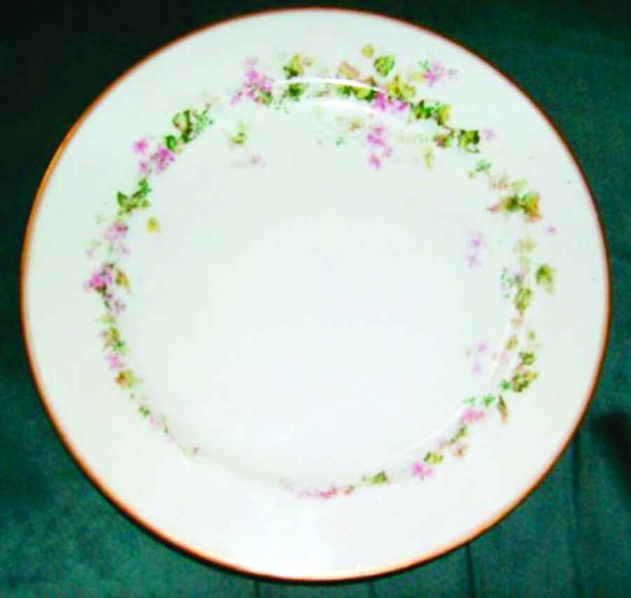 H3741 Dinner Plate by Haviland-1