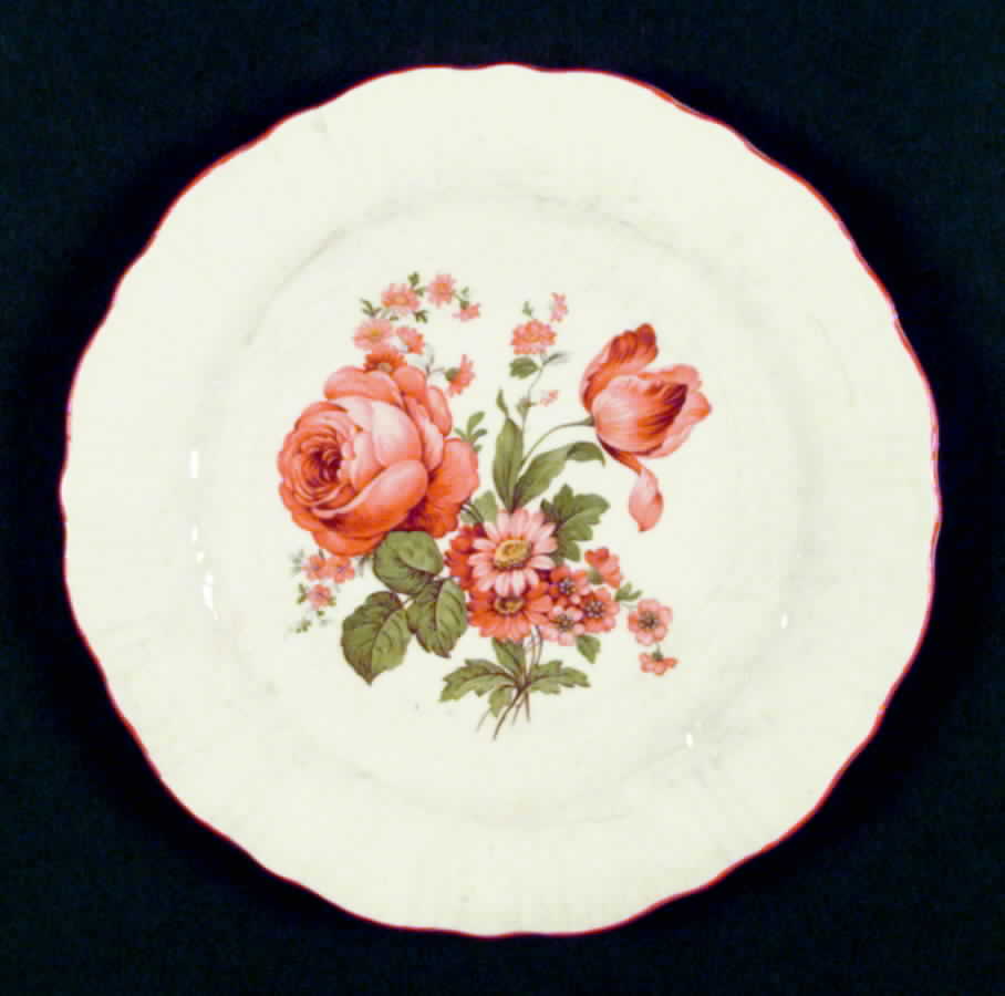 R1808 Dinner Plate by Homer Laughlin -1