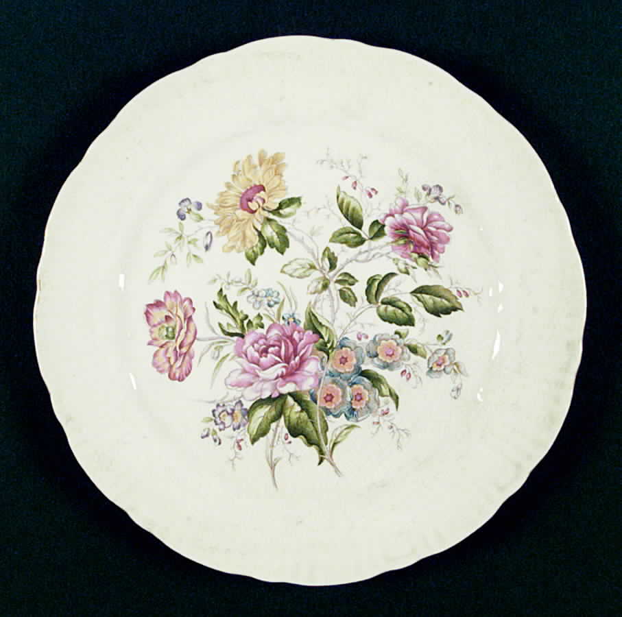 CO532 Dinner Plate by Homer Laughlin -1