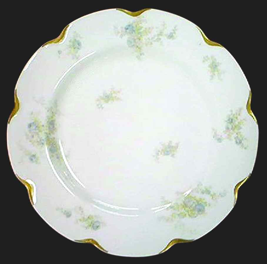 Schleiger 456B Dinner Plate by Haviland-1