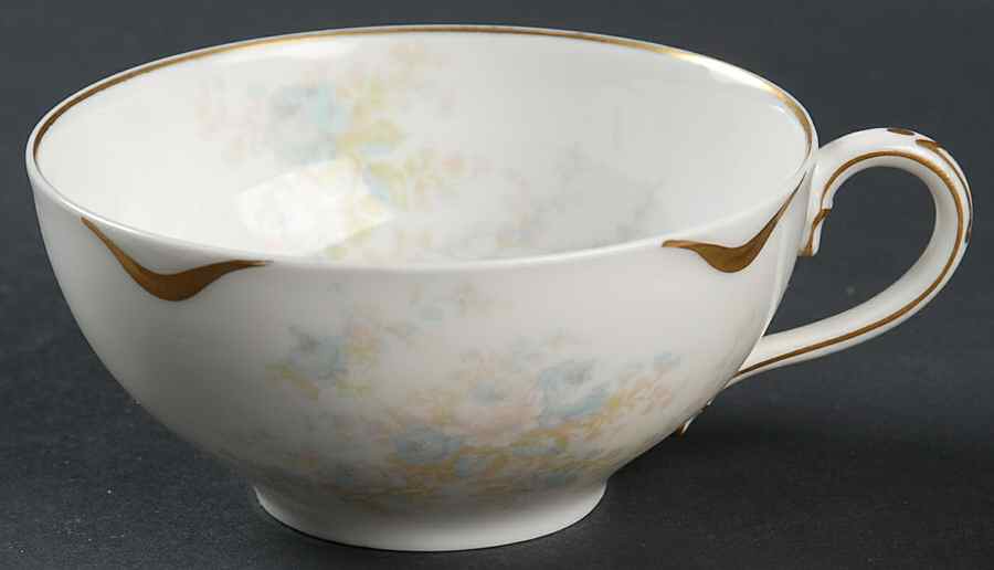 Schleiger 456B Flat Cup by Haviland-1