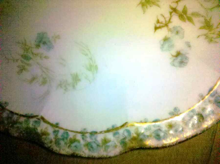 Schleiger 459D Coupe Salad Plate by Haviland-1