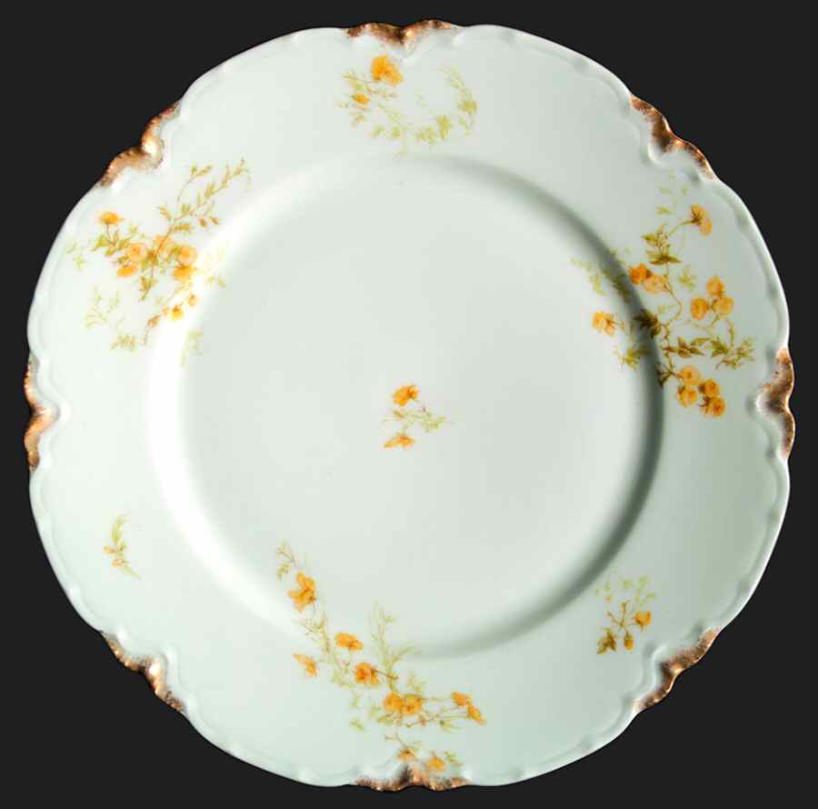 Schleiger 459F Dinner Plate by Haviland-1