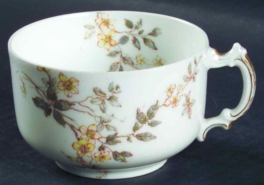 Schleiger 464h Flat Cup by Haviland-1