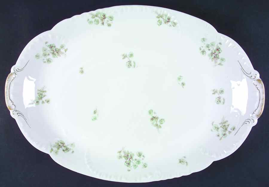 Schleiger 465e 17" Oval Serving Platter by Haviland-1
