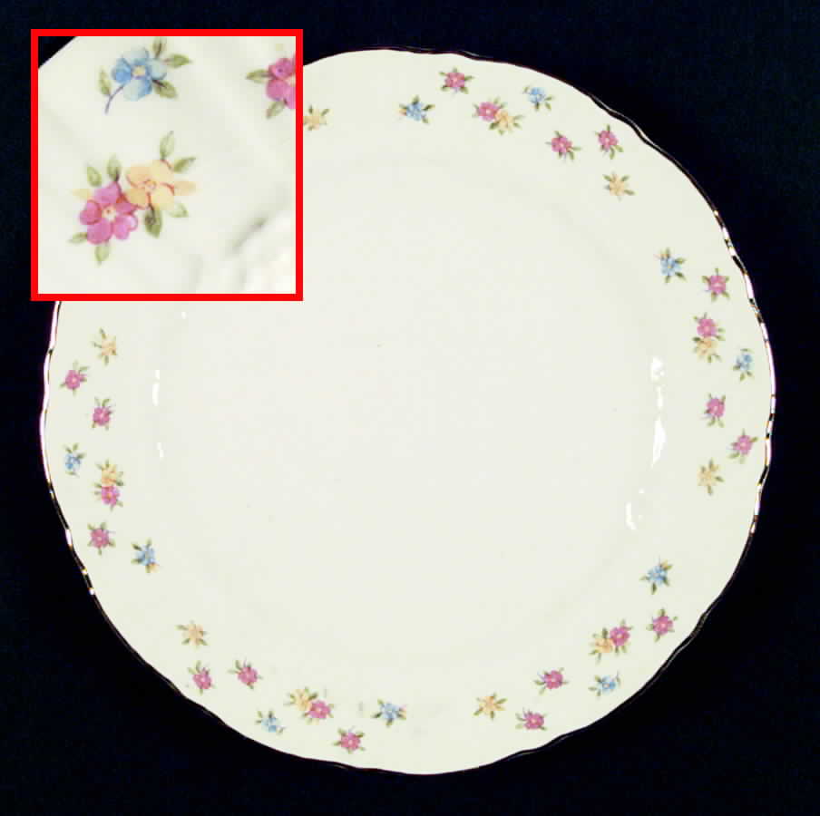 CO110 Dinner Plate by Homer Laughlin -1