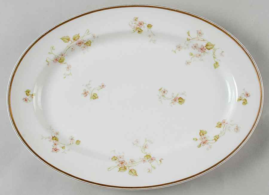Schleiger 473c 13" Oval Serving Platter by Haviland-1